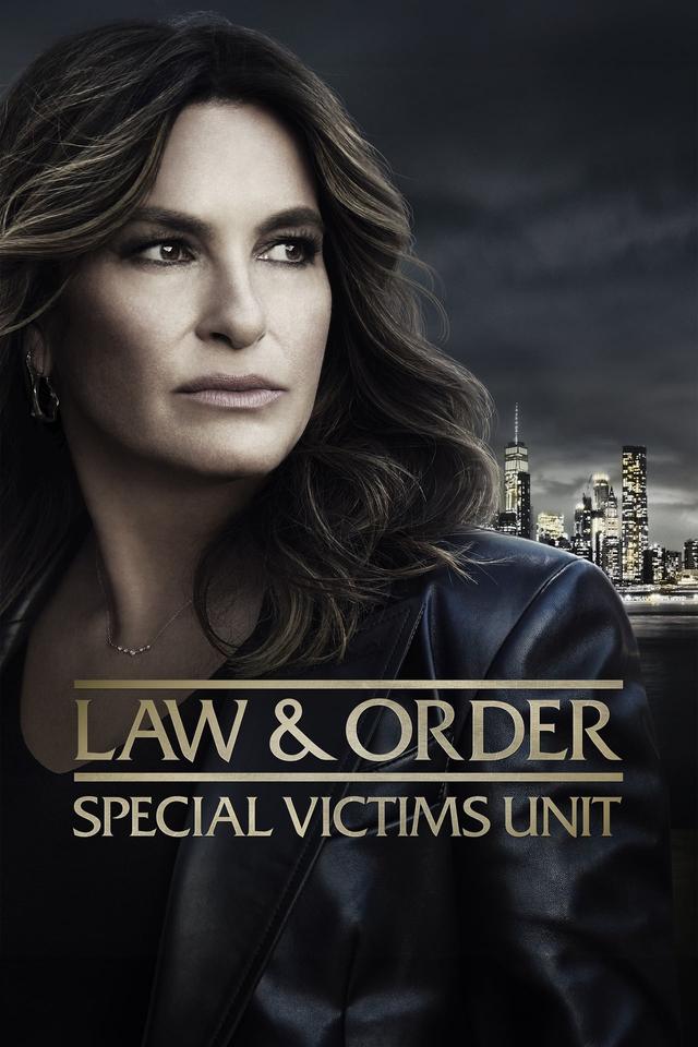 Law & Order: Special Victims Unit poster